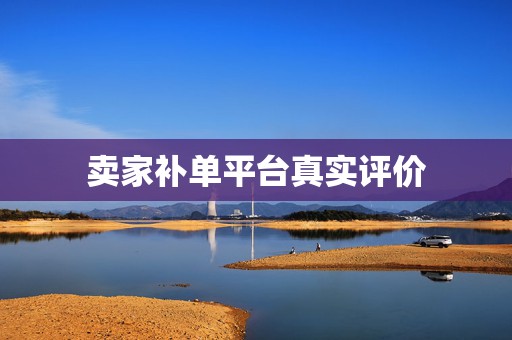 卖家补单平台真实评价