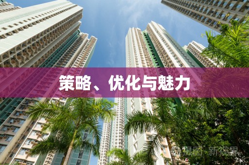 策略、优化与魅力
