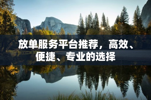 放单服务平台推荐，高效、便捷、专业的选择