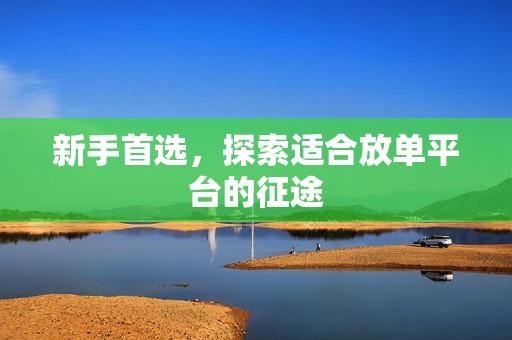 新手首选，探索适合放单平台的征途