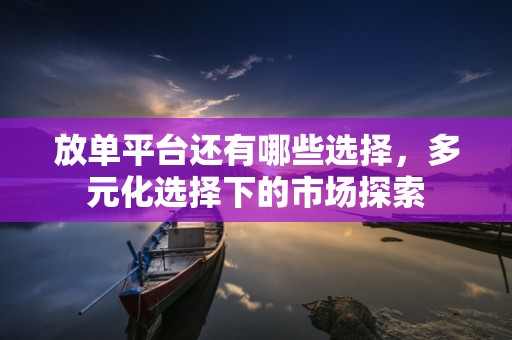 放单平台还有哪些选择，多元化选择下的市场探索