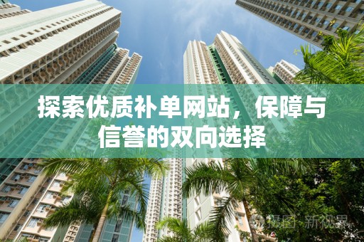 探索优质补单网站，保障与信誉的双向选择