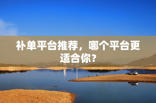 补单平台推荐，哪个平台更适合你？