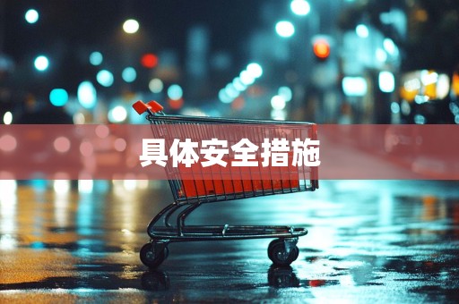 具体安全措施