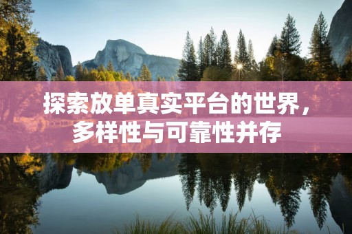 探索放单真实平台的世界，多样性与可靠性并存