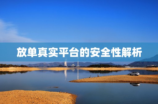 放单真实平台的安全性解析