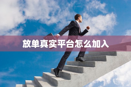 放单真实平台怎么加入
