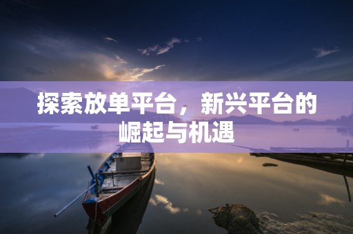 探索放单平台，新兴平台的崛起与机遇
