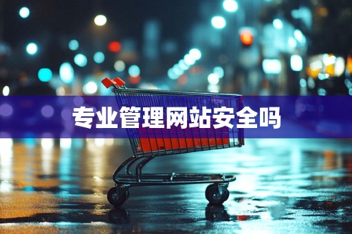 专业管理网站安全吗