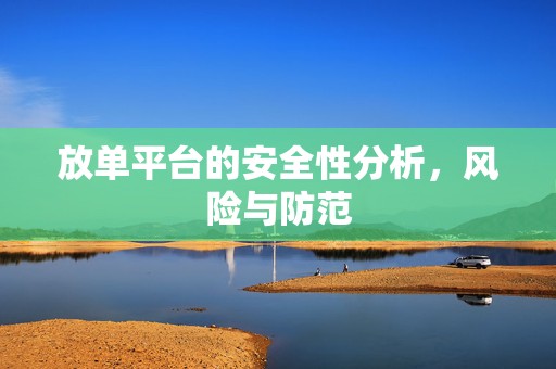 放单平台的安全性分析，风险与防范