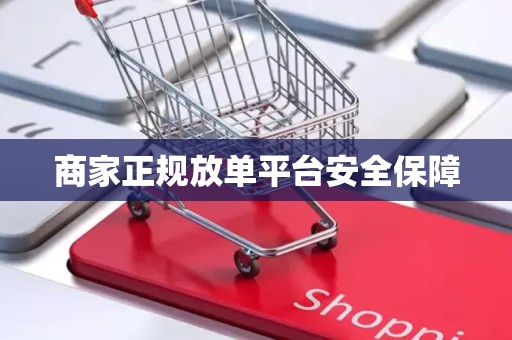 商家正规放单平台安全保障