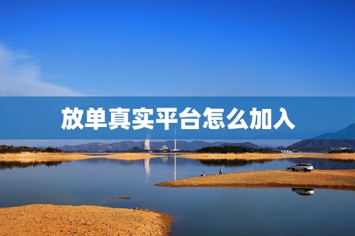 放单真实平台怎么加入