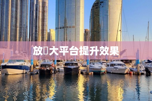 放單大平台提升效果