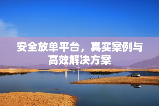 安全放单平台，真实案例与高效解决方案