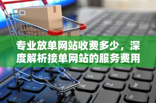 专业放单网站收费多少，深度解析接单网站的服务费用与服务质量