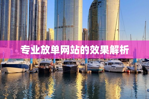 专业放单网站的效果解析
