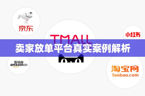 卖家放单平台真实案例解析