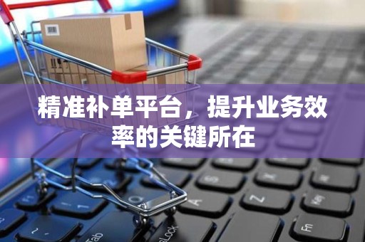 精准补单平台，提升业务效率的关键所在