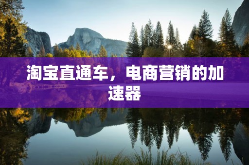 淘宝直通车，电商营销的加速器