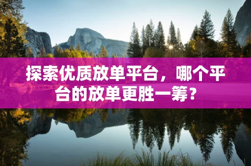 探索优质放单平台，哪个平台的放单更胜一筹？