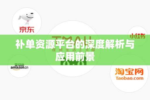 补单资源平台的深度解析与应用前景