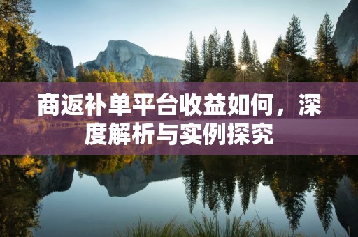 商返补单平台收益如何，深度解析与实例探究