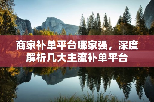 商家补单平台哪家强，深度解析几大主流补单平台