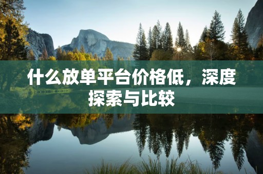 什么放单平台价格低，深度探索与比较