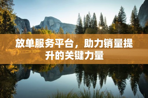 放单服务平台，助力销量提升的关键力量