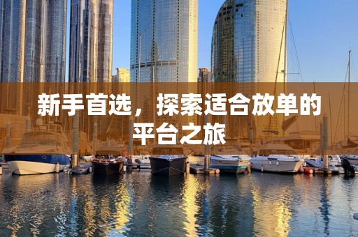 新手首选，探索适合放单的平台之旅
