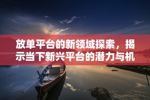放单平台的新领域探索，揭示当下新兴平台的潜力与机遇