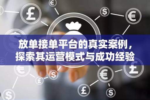 放单接单平台的真实案例，探索其运营模式与成功经验