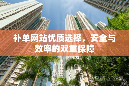 补单网站优质选择，安全与效率的双重保障