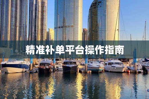 精准补单平台操作指南