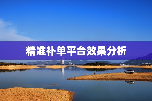 精准补单平台效果分析