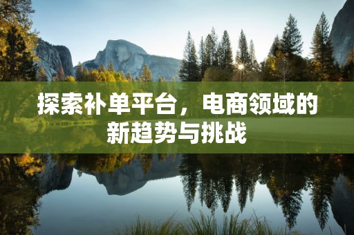探索补单平台，电商领域的新趋势与挑战