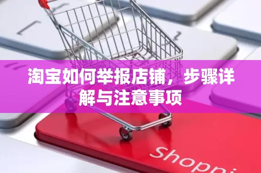 淘宝如何举报店铺，步骤详解与注意事项
