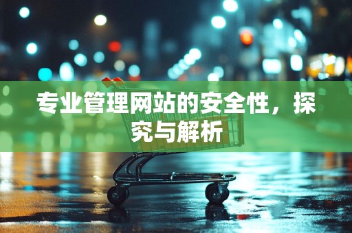 专业管理网站的安全性，探究与解析