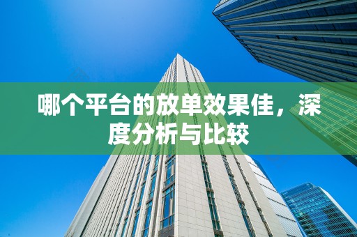 哪个平台的放单效果佳，深度分析与比较