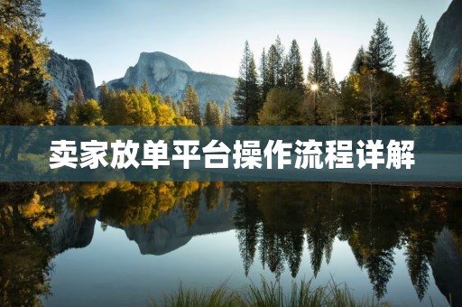 卖家放单平台操作流程详解