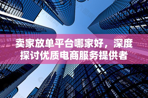 卖家放单平台哪家好，深度探讨优质电商服务提供者