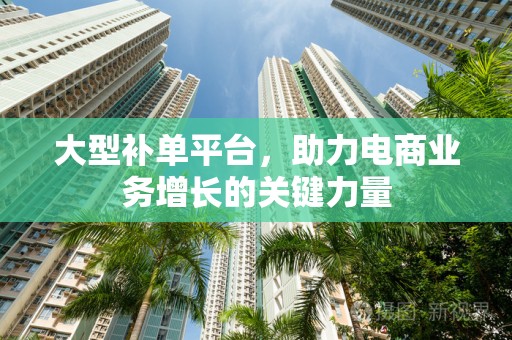 大型补单平台，助力电商业务增长的关键力量