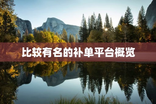 比较有名的补单平台概览