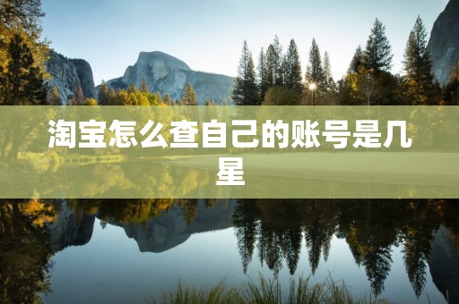 淘宝怎么查自己的账号是几星