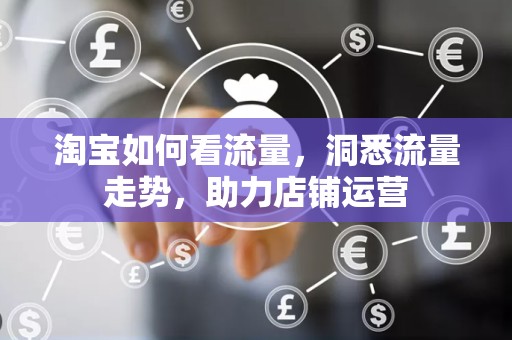 淘宝如何看流量，洞悉流量走势，助力店铺运营