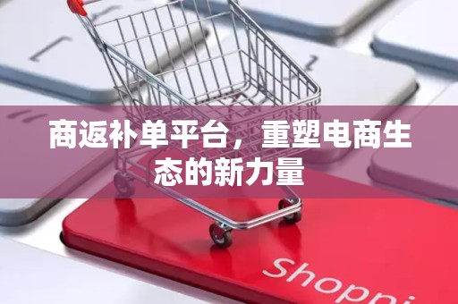 商返补单平台，重塑电商生态的新力量