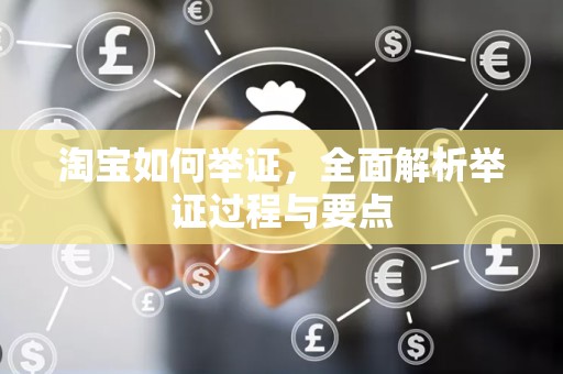 淘宝如何举证，全面解析举证过程与要点