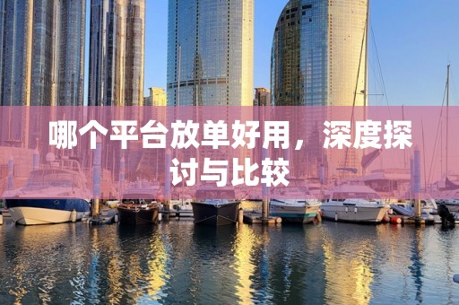 哪个平台放单好用，深度探讨与比较