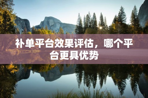 补单平台效果评估，哪个平台更具优势