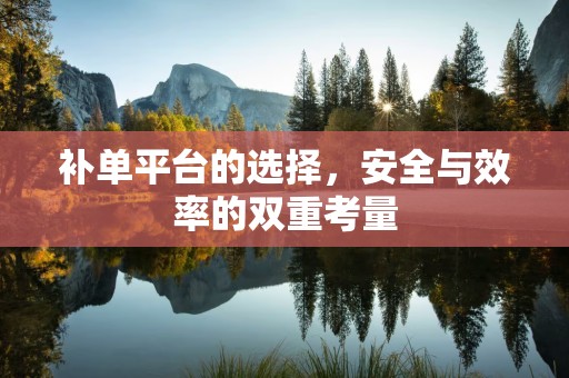 补单平台的选择，安全与效率的双重考量